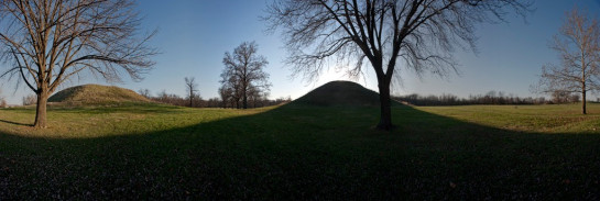 Puffer_John_7_Native_American_Trees_Cahokia_Mounds_Illinois