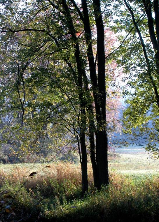 Klock_Lowell_1Across the creek