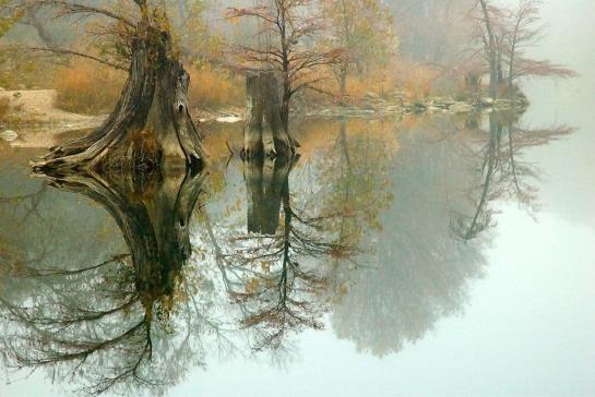 Smith_Herb_6Autumn_Fog