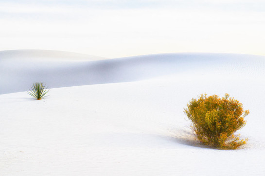 White Sands