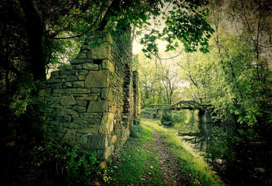 Menapace_Rick_5Canal ruins, Port Providence, PA