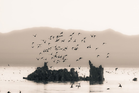 Kattelmann_Rick_3Over_Mono_Lake