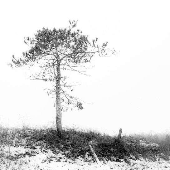 CHO02565 27412