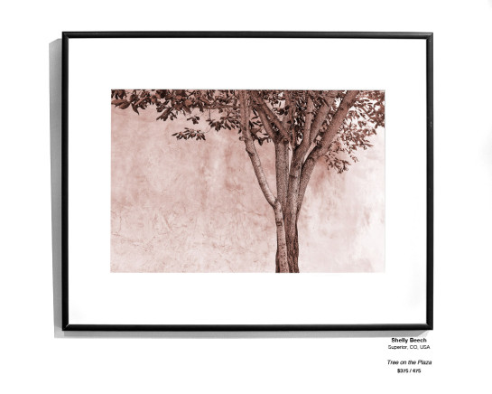Trees Installation 17