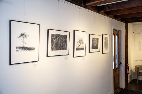 Trees Installation 48