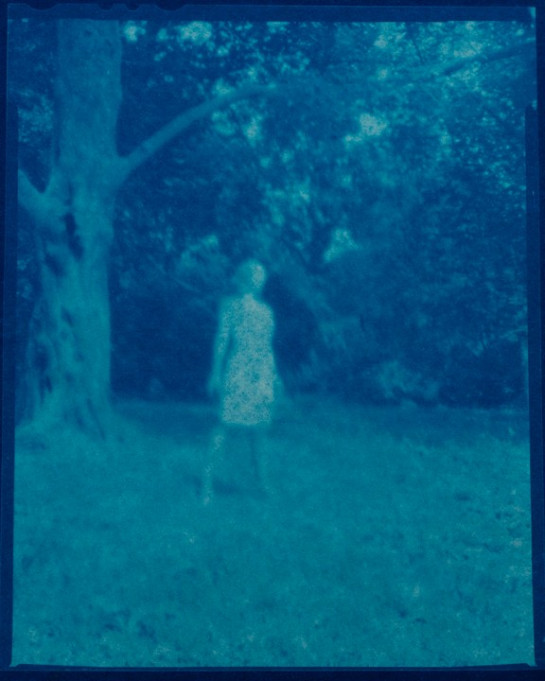 KELLY_CHRISTIAN_4 GHOST OF PROSPECT PARK FRAME 3_ PINHOLE PHOTO- CYAN-O-TYPE- JUNE 2011