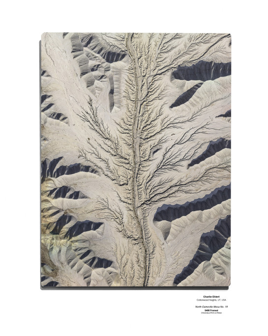 IMG 0892