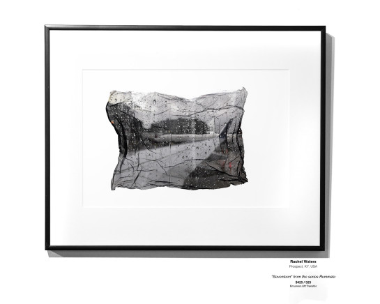 IMG 0896
