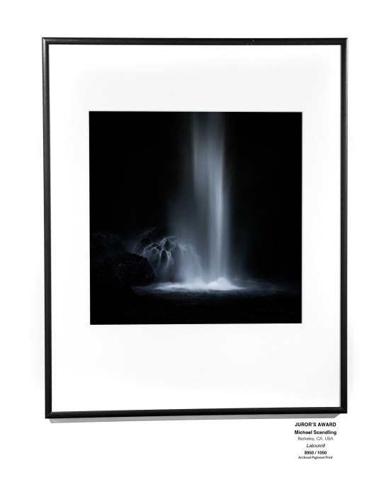 IMG 0919
