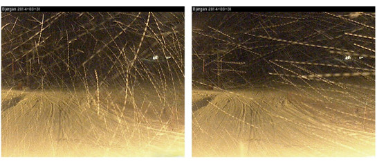 BucholtzRoss_LindaM_4_webcam_norway_snowstorm