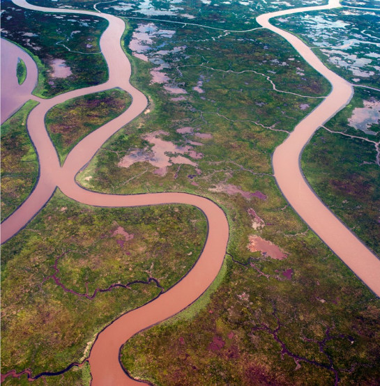 Guice_Susan_6Pearl River at Honey Island